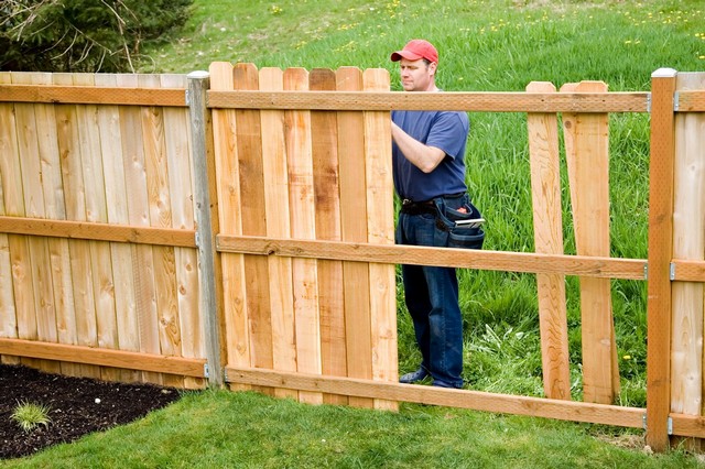 Fencing Lee, SE12