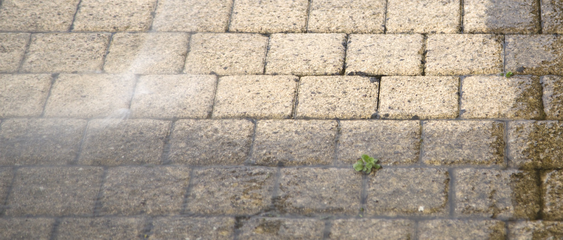 flagging and patios SE12