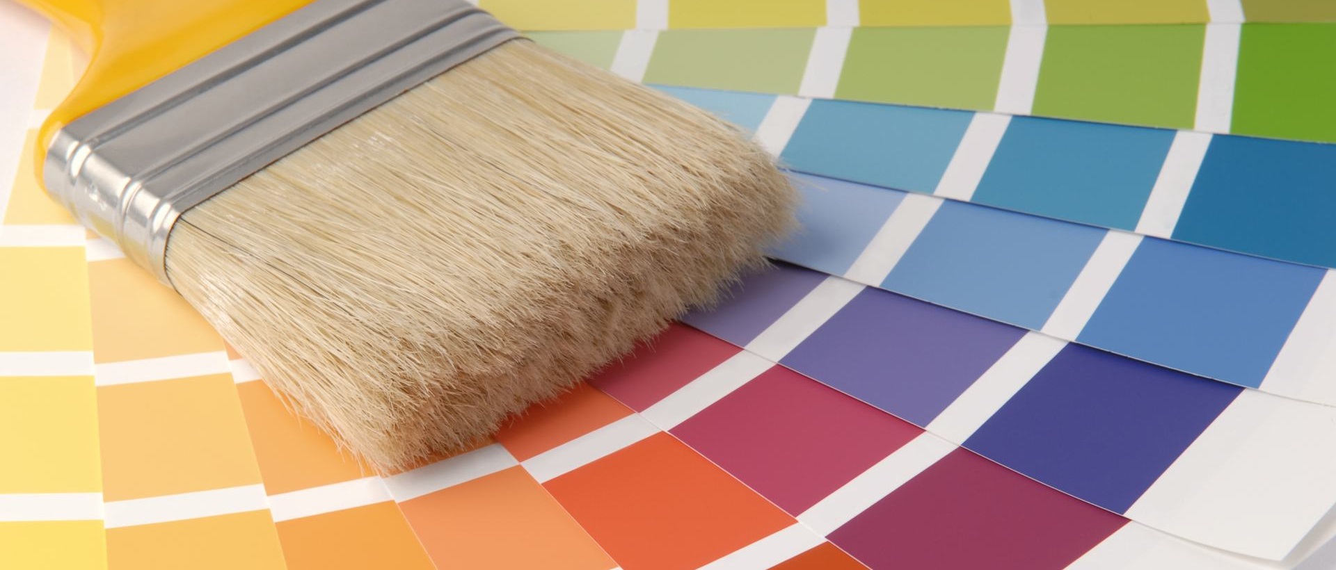 Painter SE12